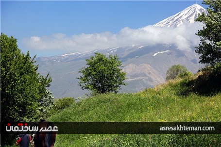 دامنه‌های البرز+عکس