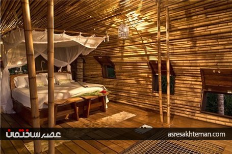 نگاهی به مسافرخانه درختی در خط ساحلی مکزیک