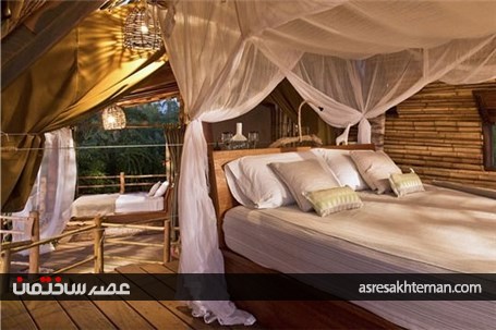 نگاهی به مسافرخانه درختی در خط ساحلی مکزیک