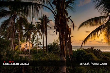 نگاهی به مسافرخانه درختی در خط ساحلی مکزیک