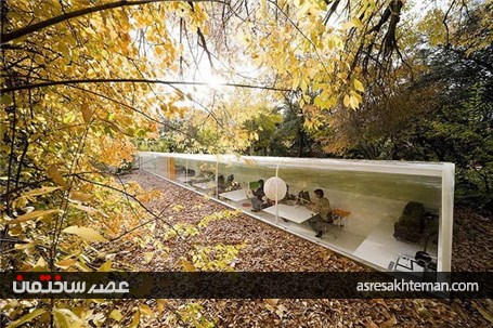 آرام بخش ترین دفترهای کار دنیا