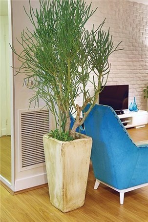 خانه‌ای پُر از حس خوب زندگی