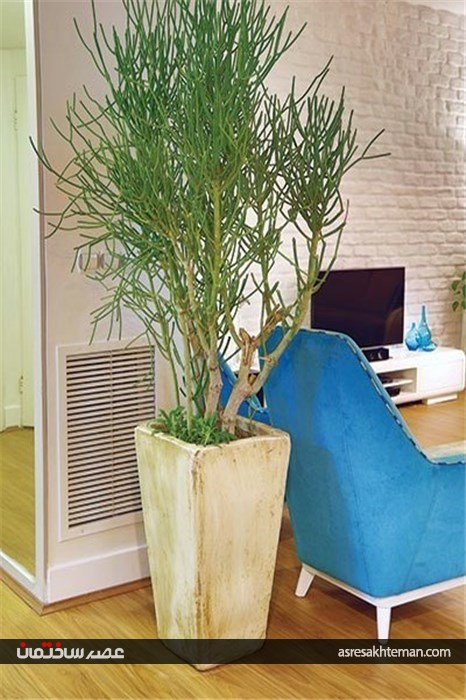 خانه‌ای پُر از حس خوب زندگی