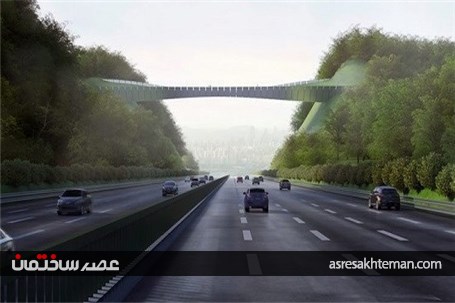 ساخت پلی بین دو کوه، برای عبور امن حیوانات