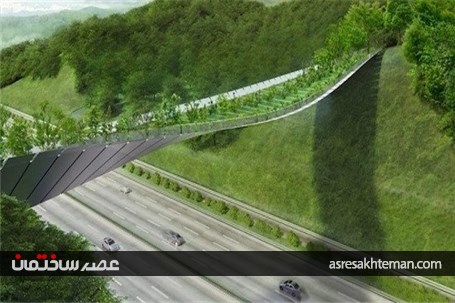 ساخت پلی بین دو کوه، برای عبور امن حیوانات