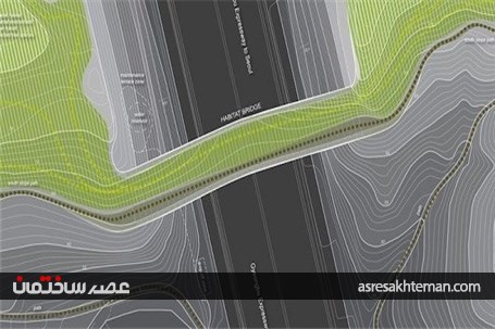 ساخت پلی بین دو کوه، برای عبور امن حیوانات