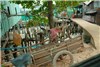 خانه‌ای روی آب و زباله!