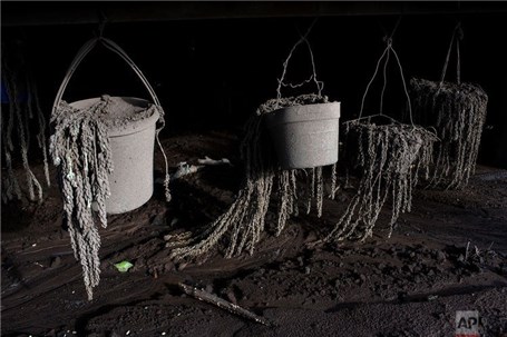 ردی از زندگی در خاکستر‌های آتشفشان گواتمالا +تصاویر