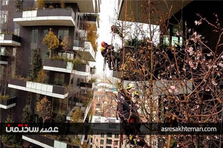 آپارتمانی لوکس با پوشش گیاهی خاص + تصاویر