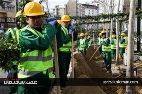 ساماندهی و احیای درختان چنار خیابان ولیعصر