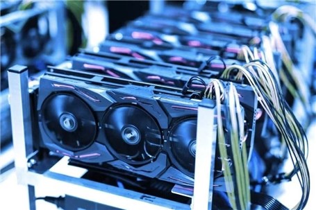 کشف ۱۰۴ مزرعه غیرمجاز در تهران معادل مصرف ۱۰ هزار خانوار